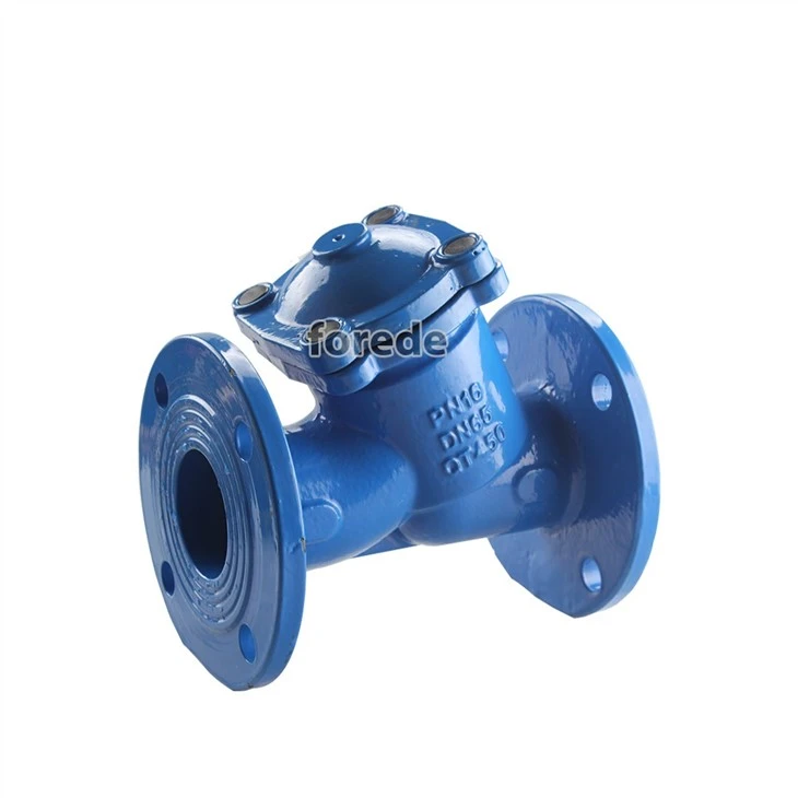 Strainer Check Valve