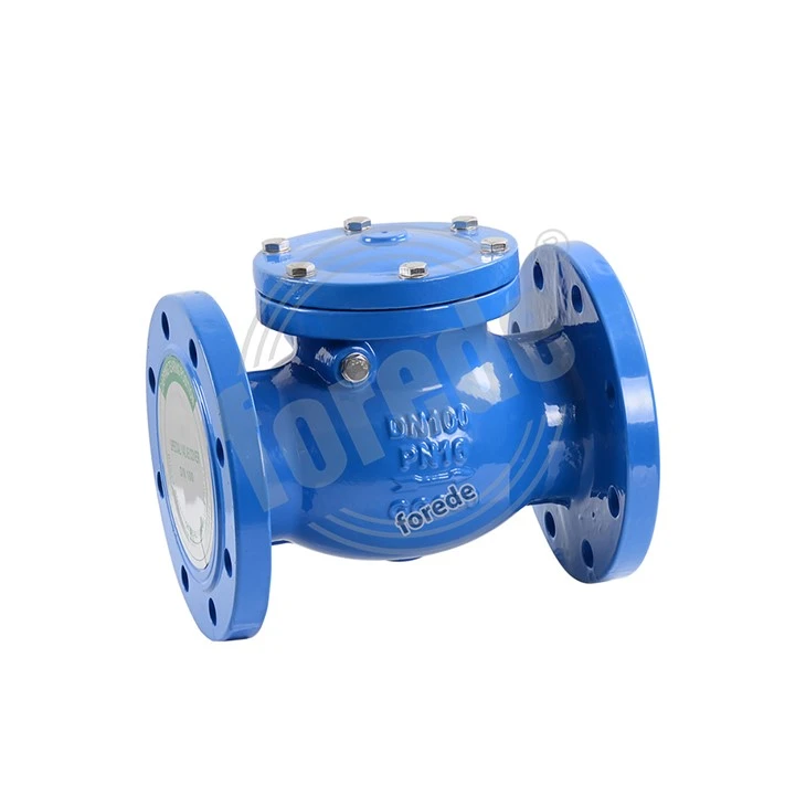 PN16 Ductile Iron Flange Type Swing Check Valve