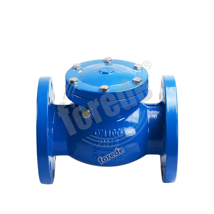 PN16 Ductile Iron Flange Type Swing Check Valve