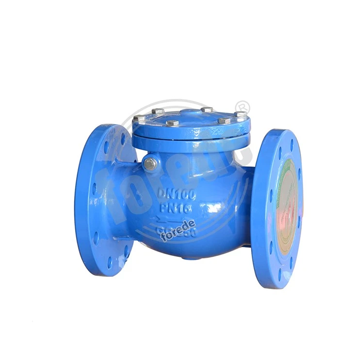 PN16 Ductile Iron Flange Type Swing Check Valve