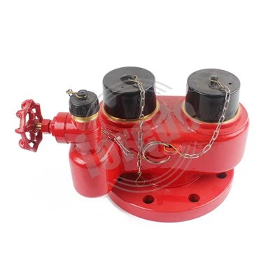 Iron De Way Breeching Inlet Valv